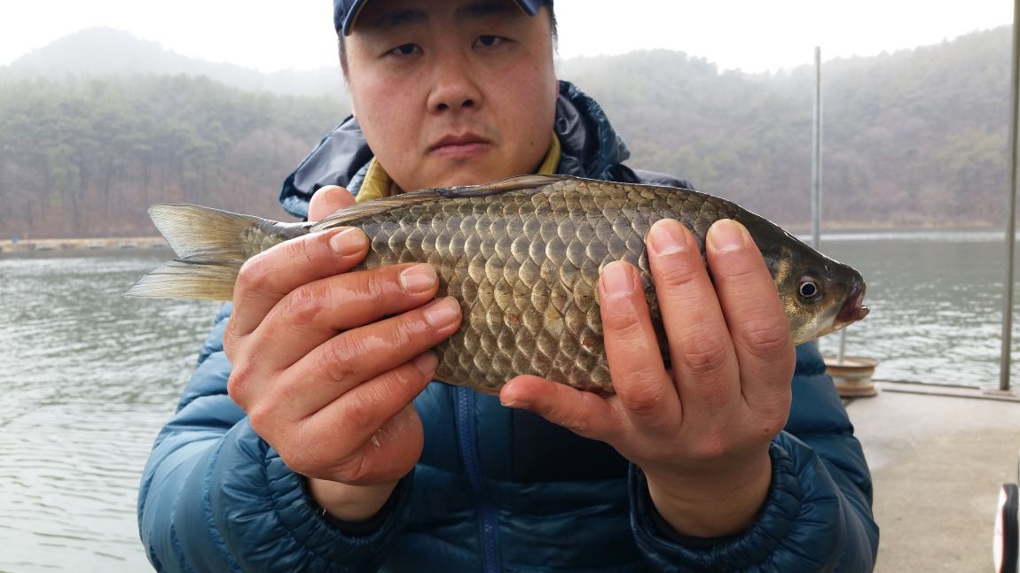 20150222_113428.jpg