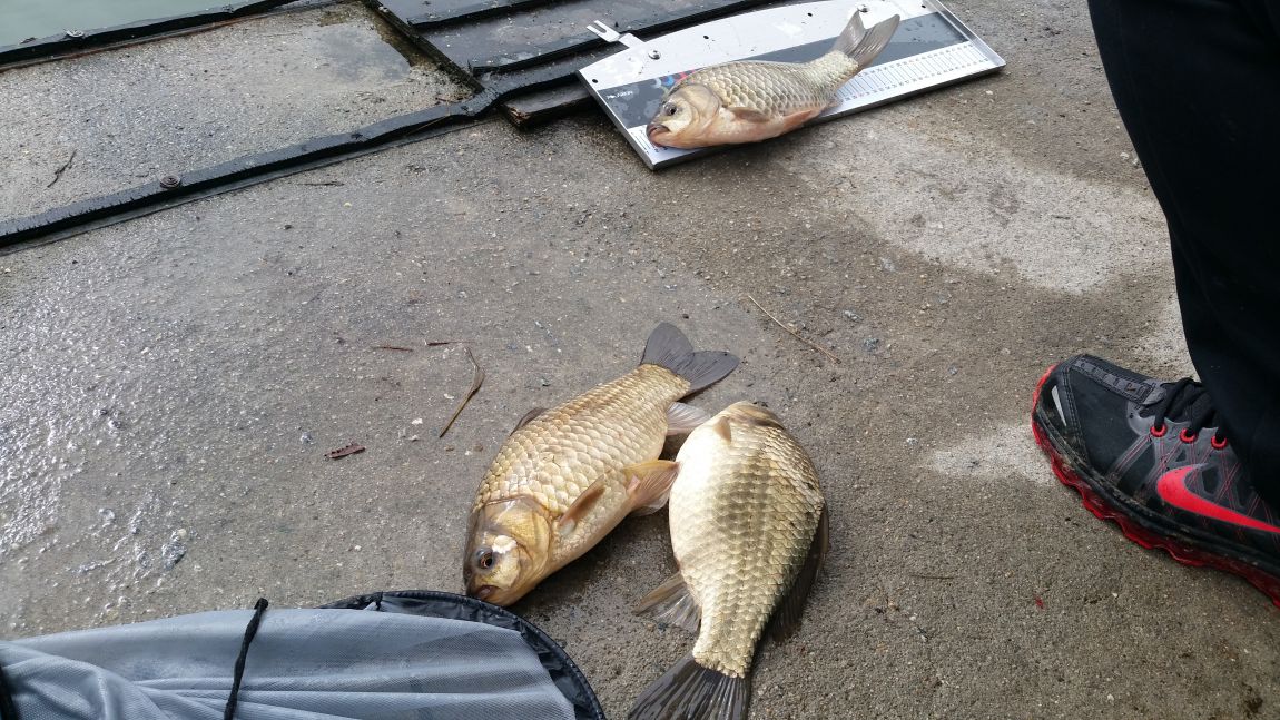 20150222_113530.jpg