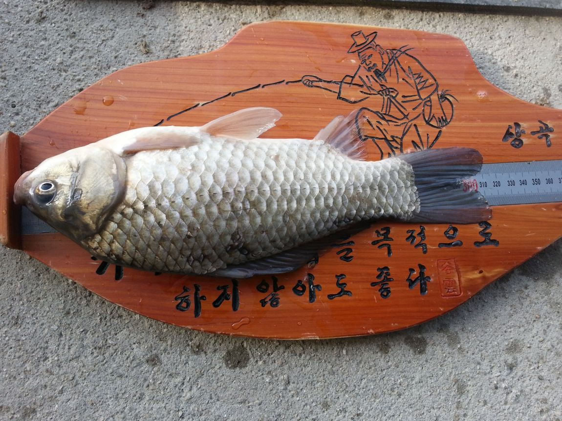 20150225_100611.jpg