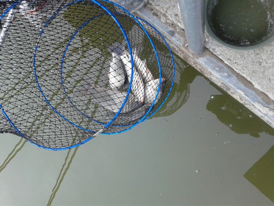 �ٿ�ε� (1).jpg