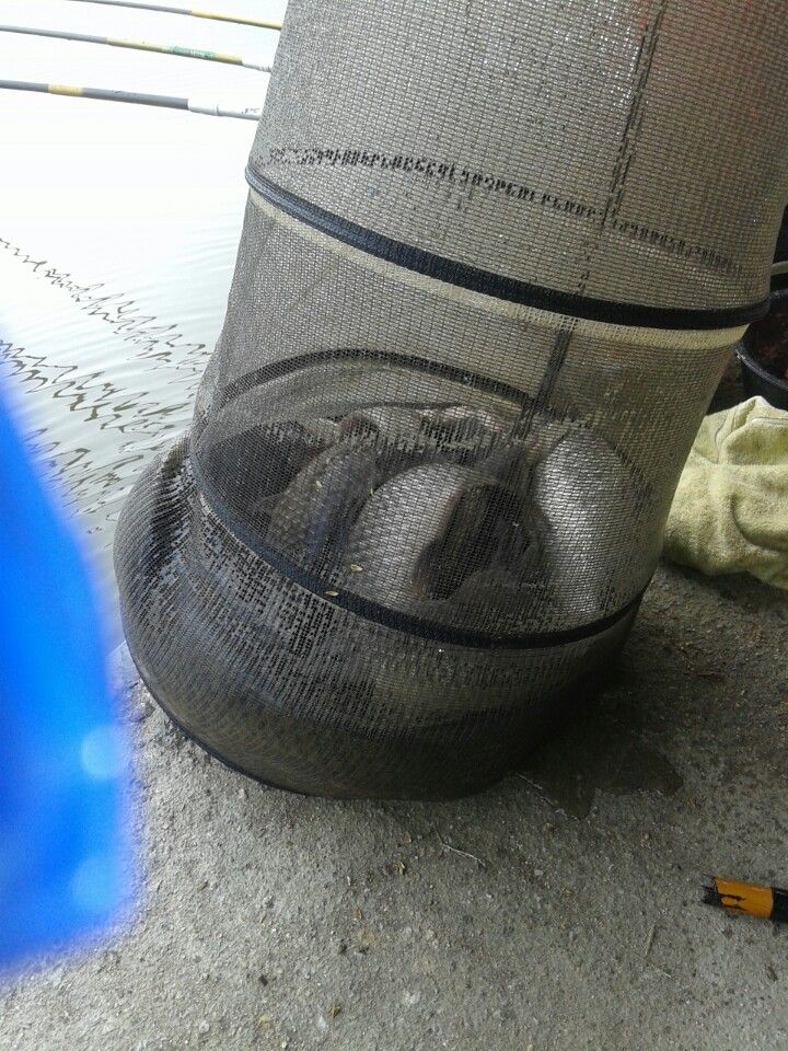 �ٿ�ε� (2).jpg