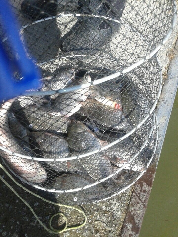 �ٿ�ε� (3).jpg