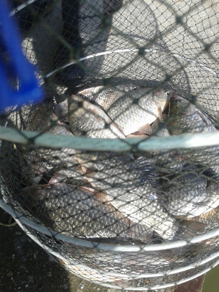 �ٿ�ε� (4).jpg