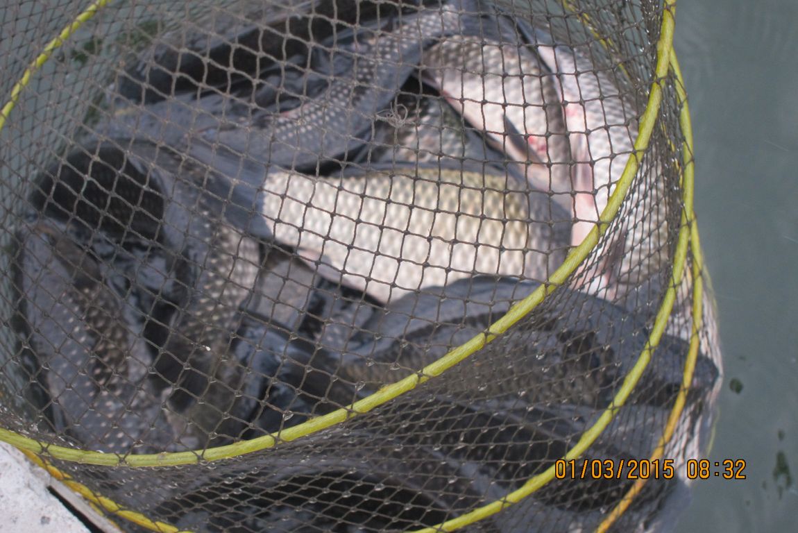 IMG_2673.JPG