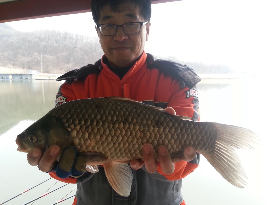 20150228_102229.jpg
