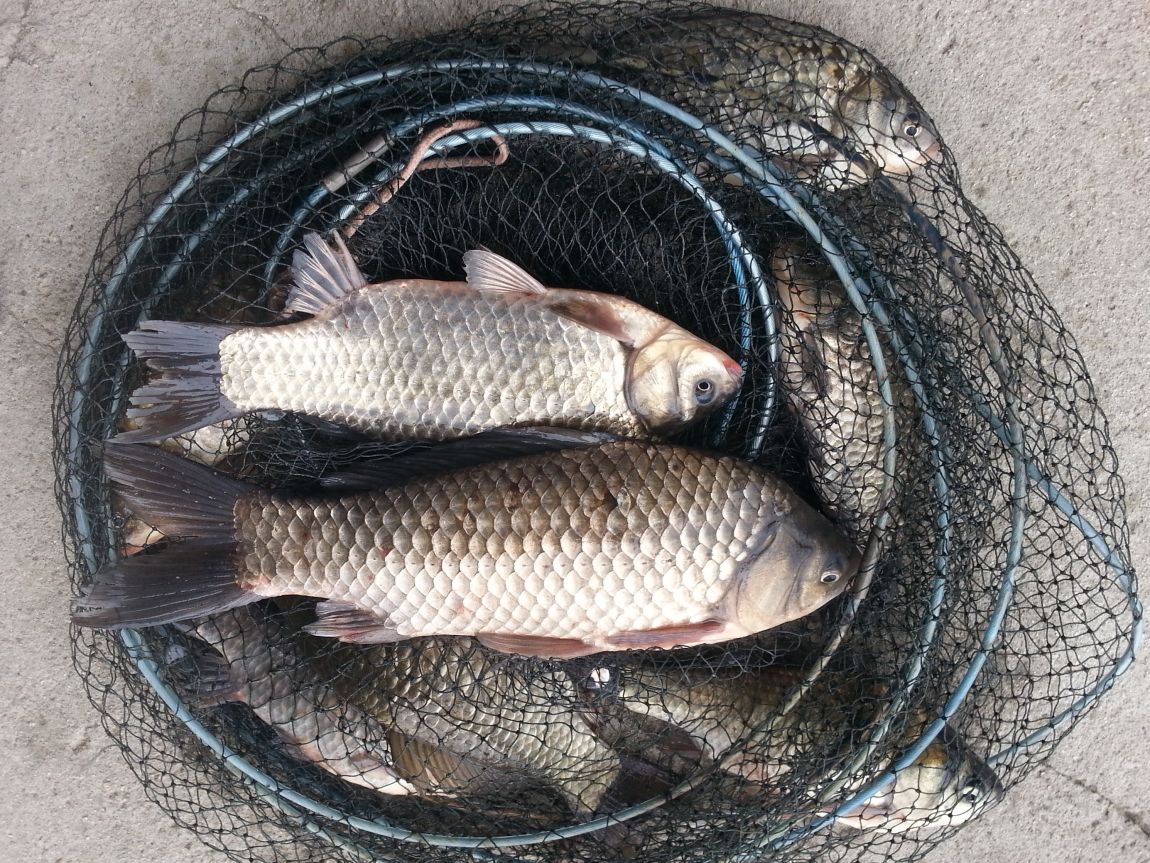 20150228_102315.jpg