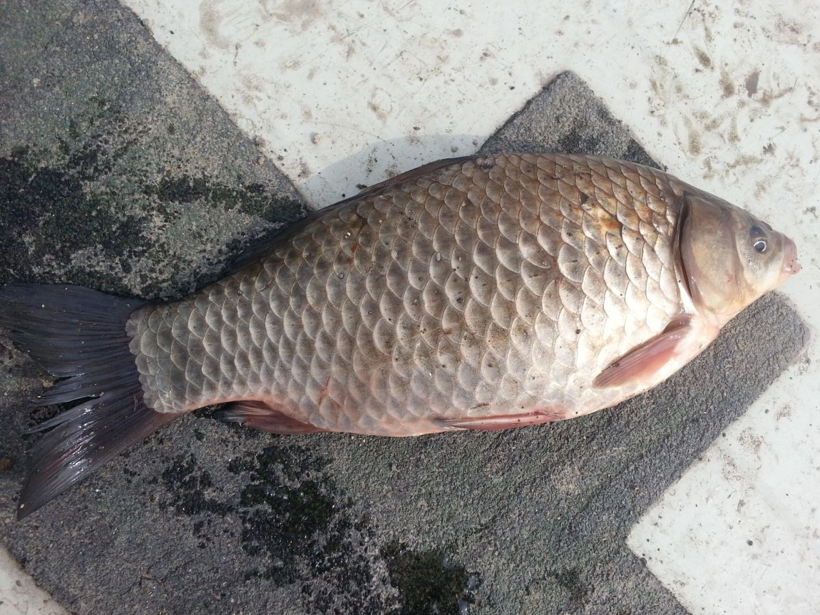 20150301_123142.jpg