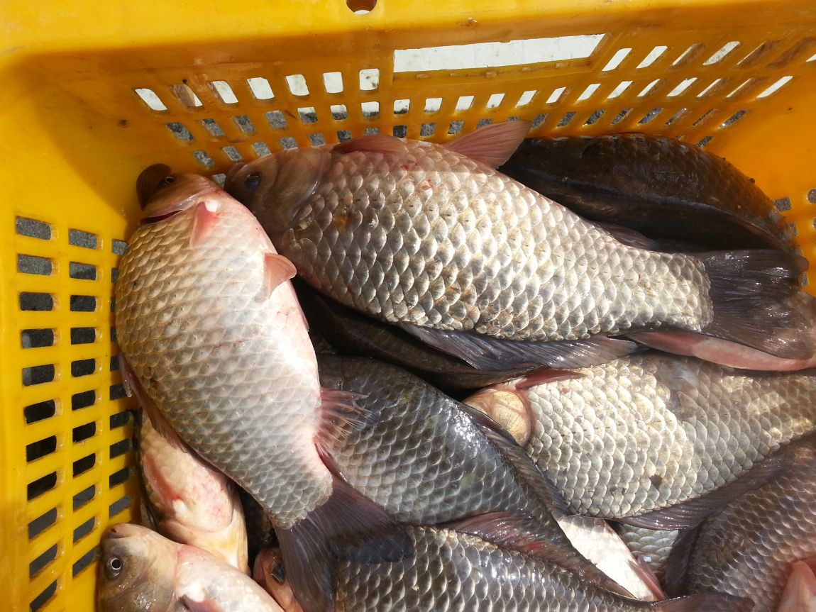 20150301_123304.jpg