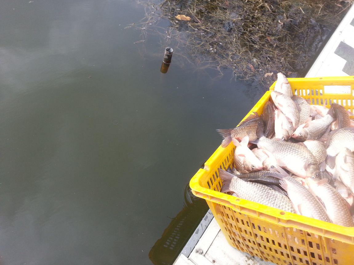 20150301_123312.jpg