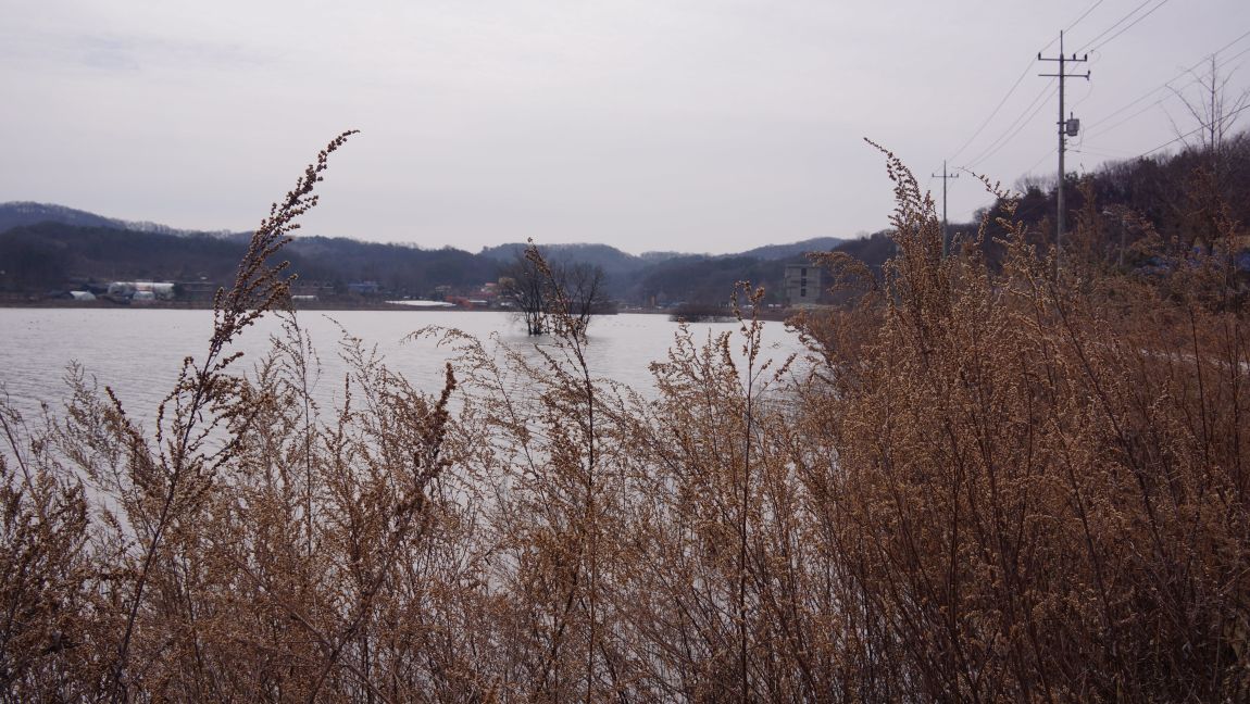 DSC06595.JPG