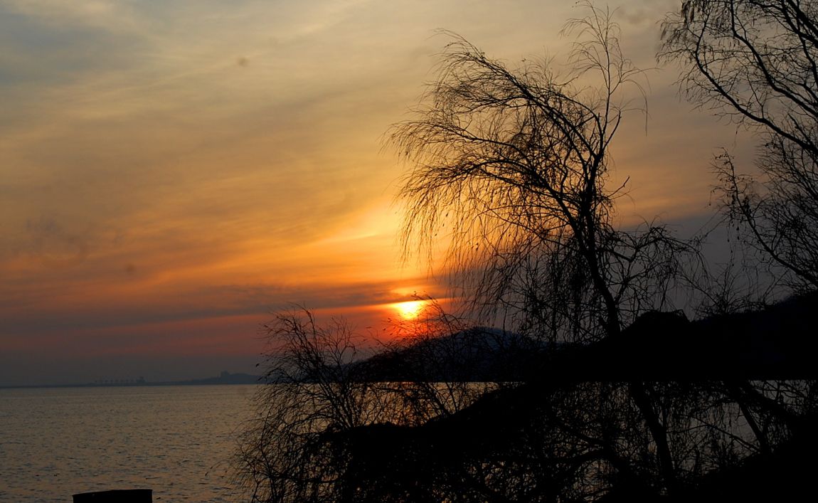 �ٹ̱�_DSC_0012.JPG