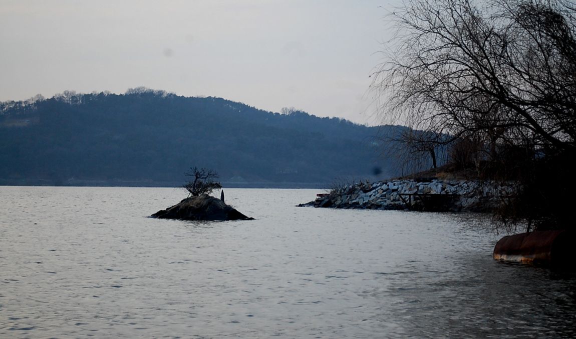�ٹ̱�_DSC_0015.JPG