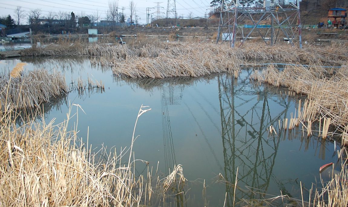 �ٹ̱�_DSC_0022.JPG