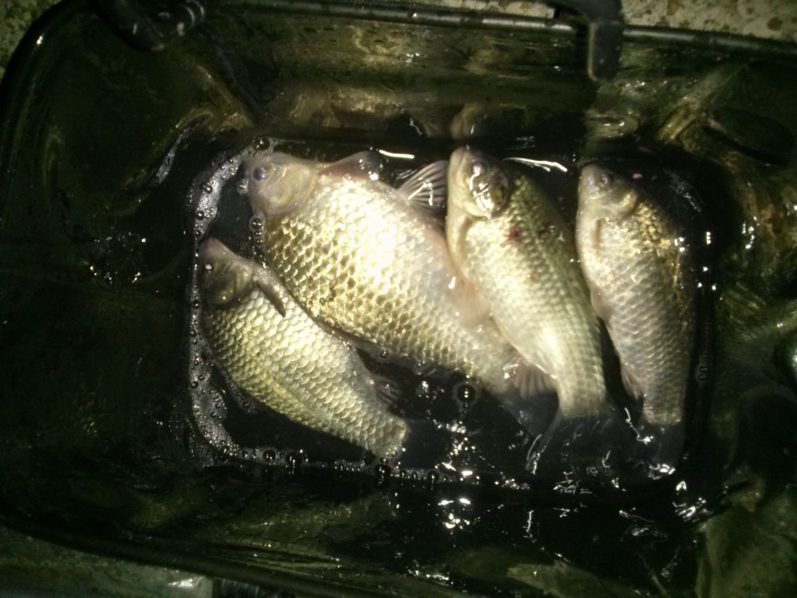 CAM04112.jpg