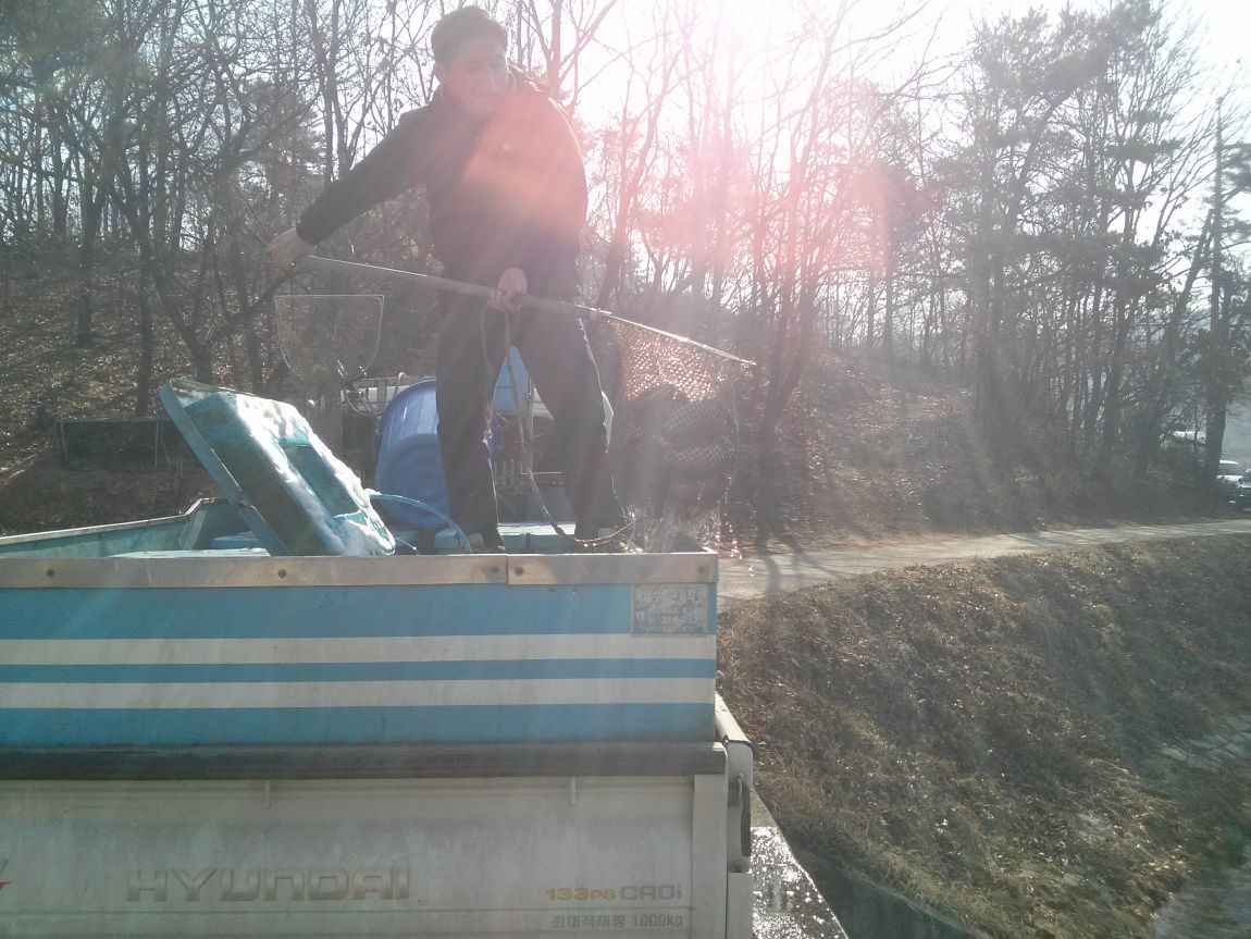 CAM04133.jpg