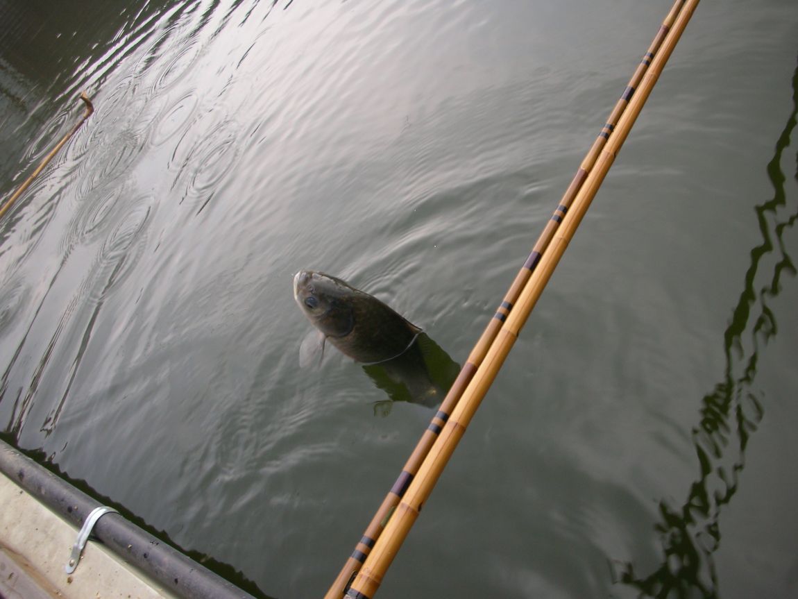 DSCN2925.JPG