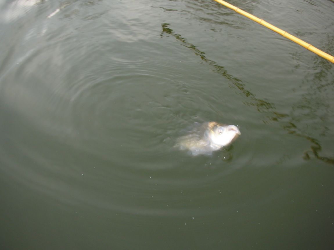 DSCN2927.JPG