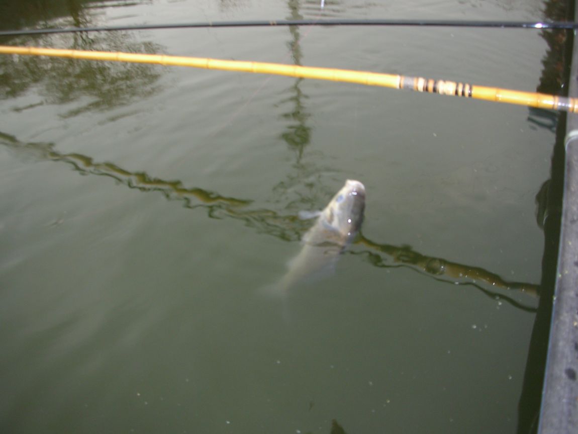 DSCN2928.JPG