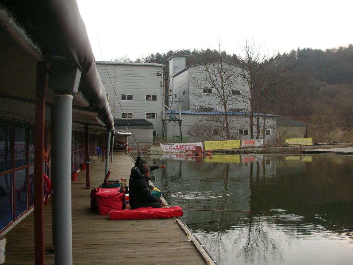 DSCN2929.JPG