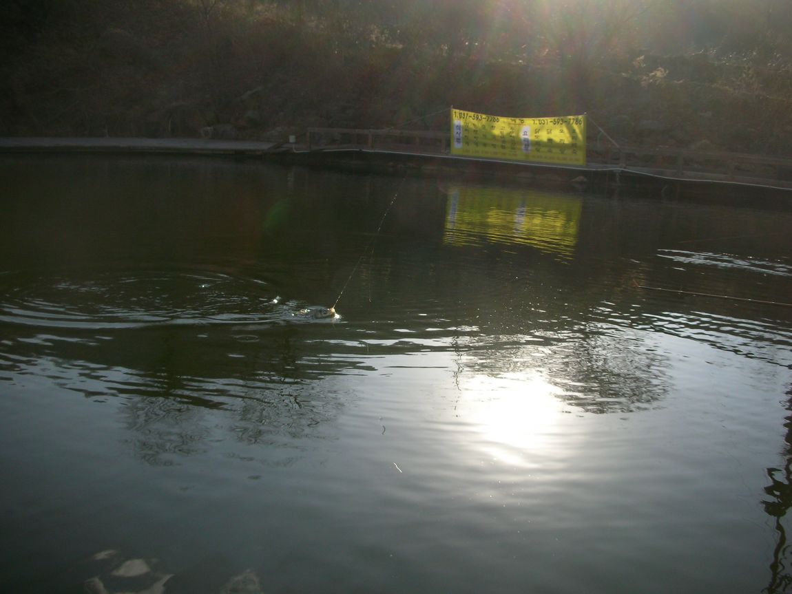 DSCN2935.JPG