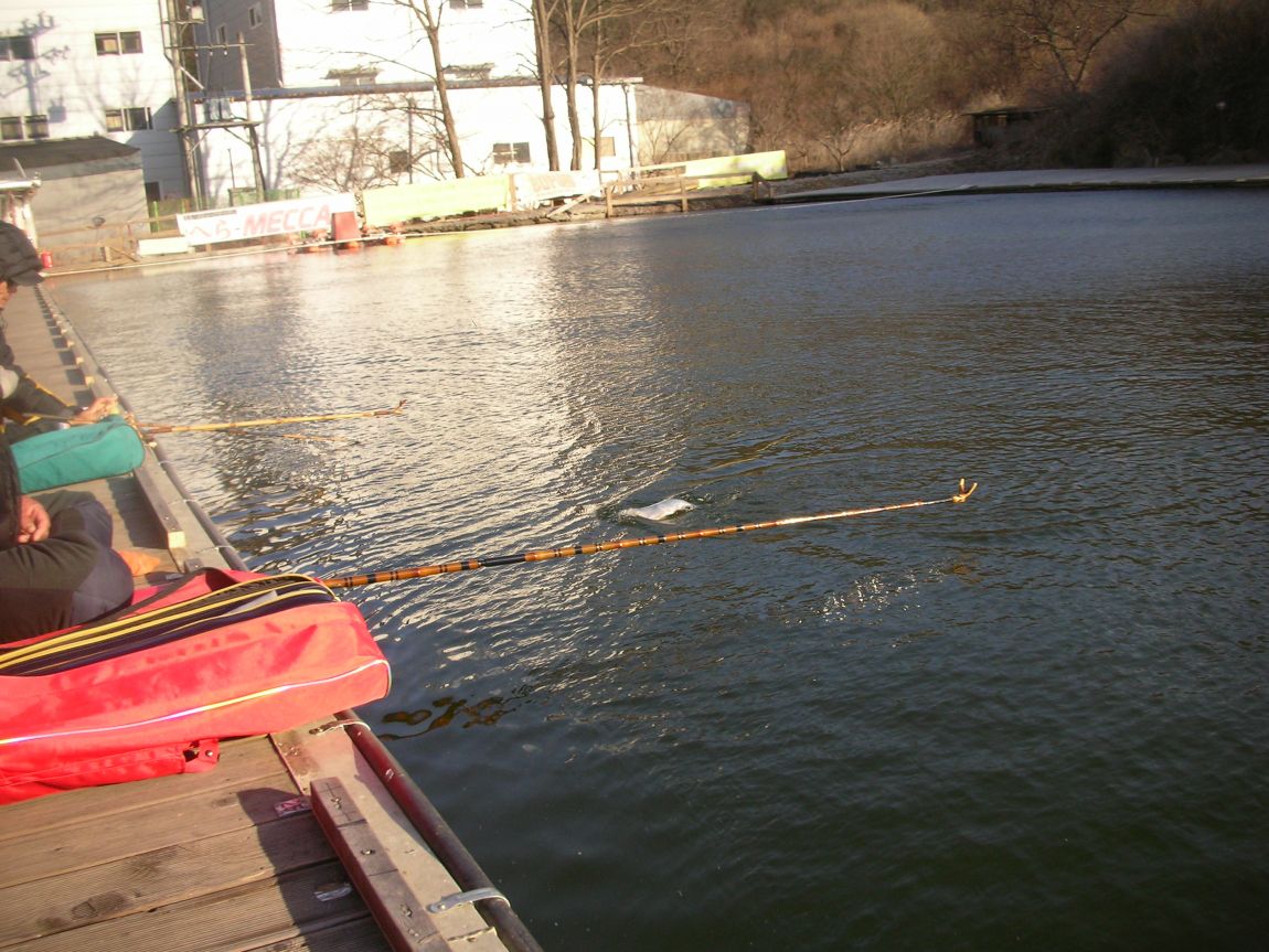 DSCN2939.JPG