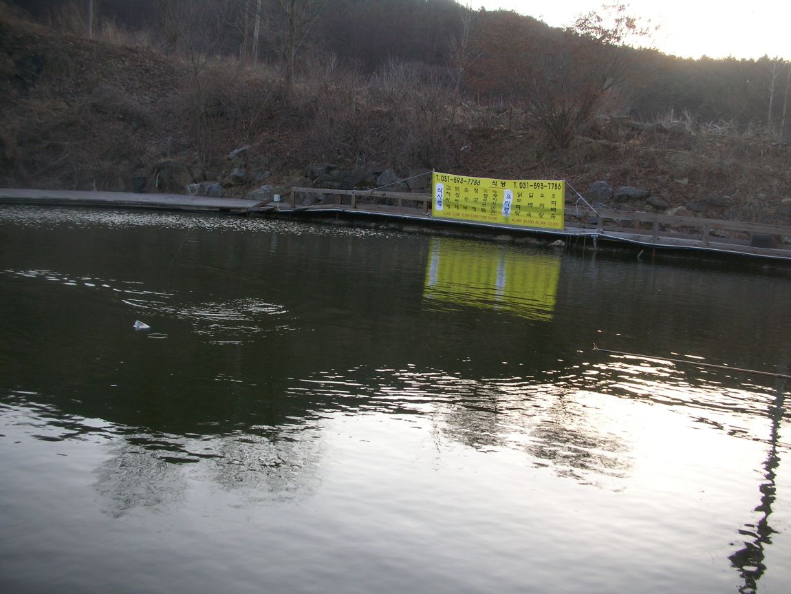 DSCN2941.JPG