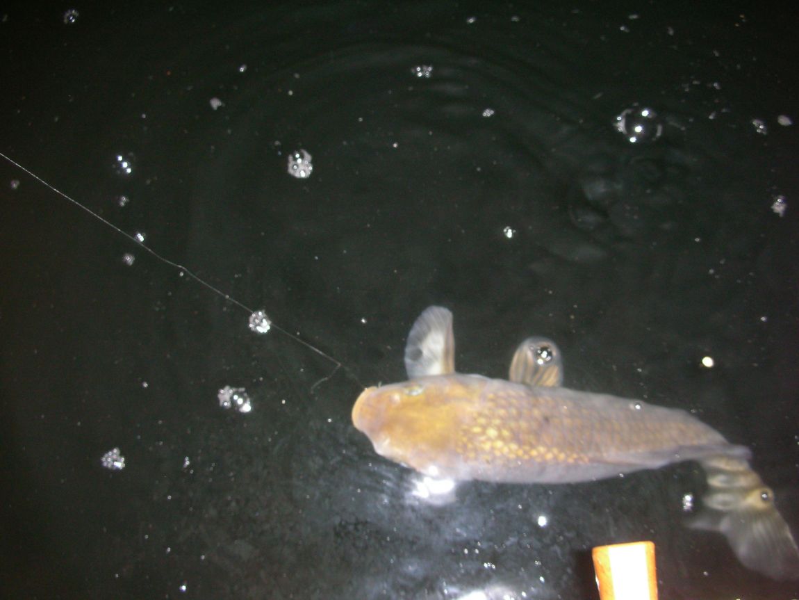 DSCN2946.JPG