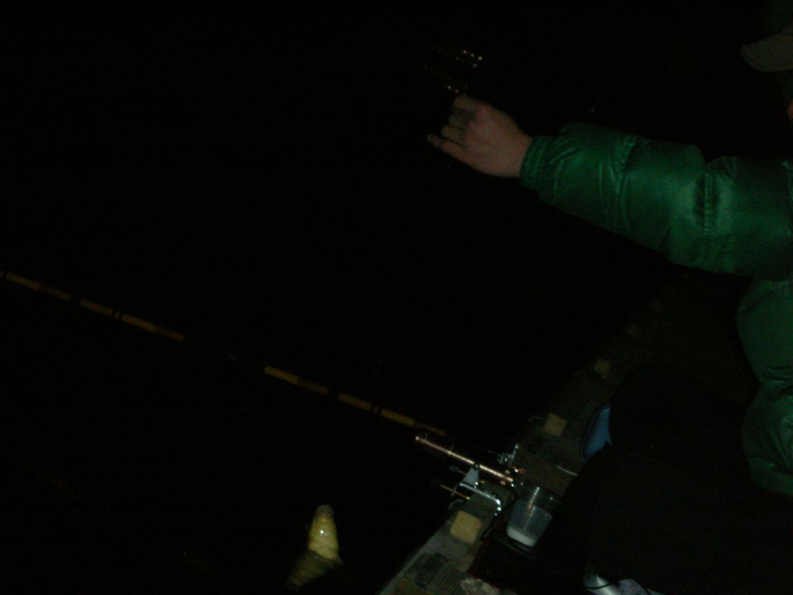 DSCN2948.JPG