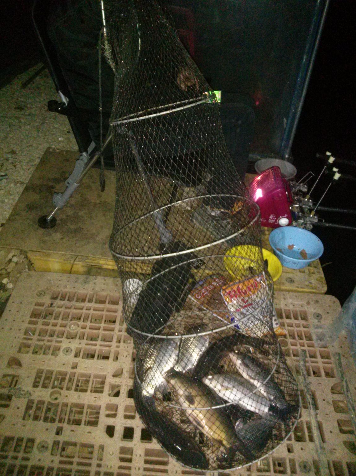 CAM04158.jpg