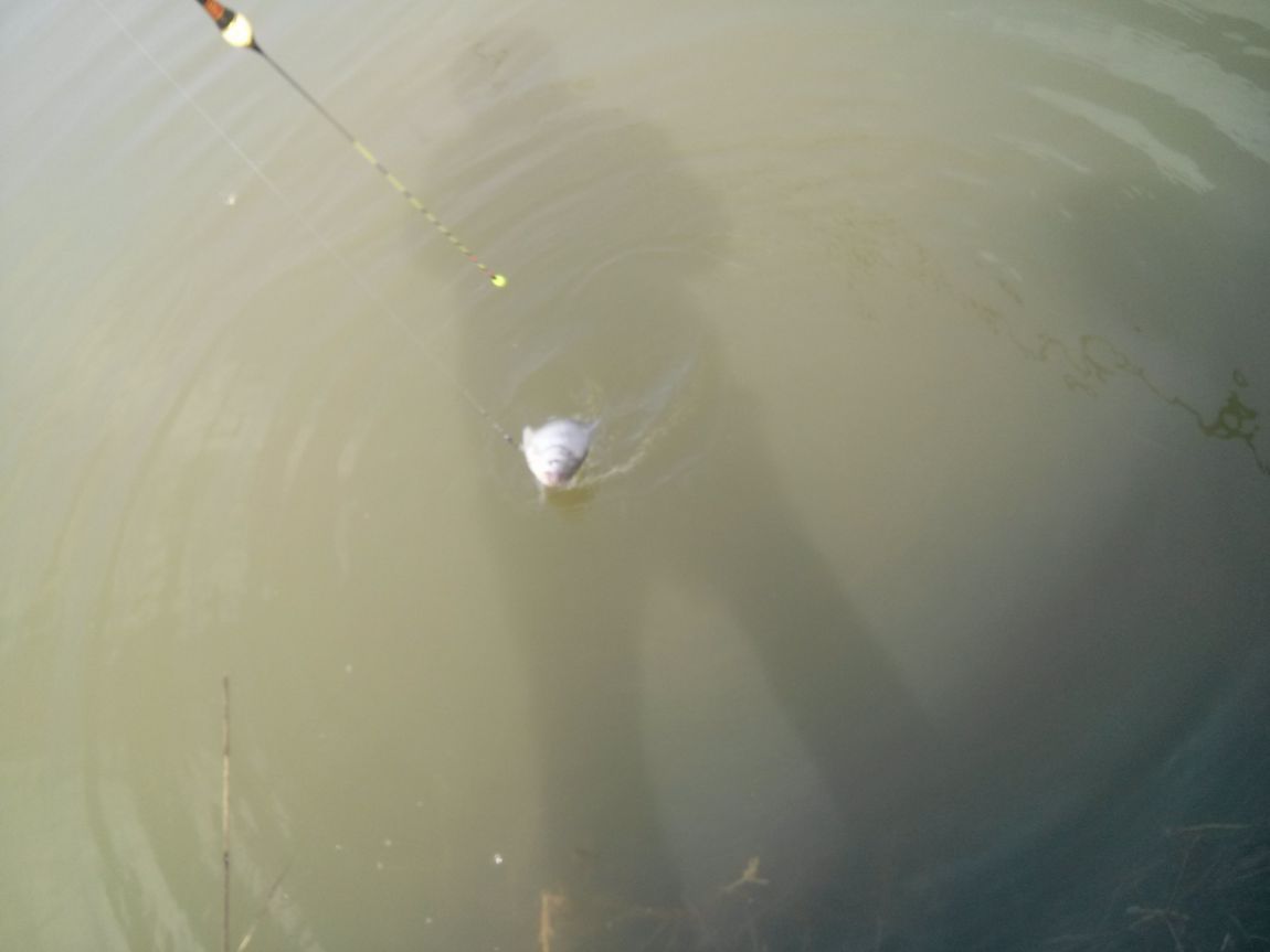 CAM04145.jpg