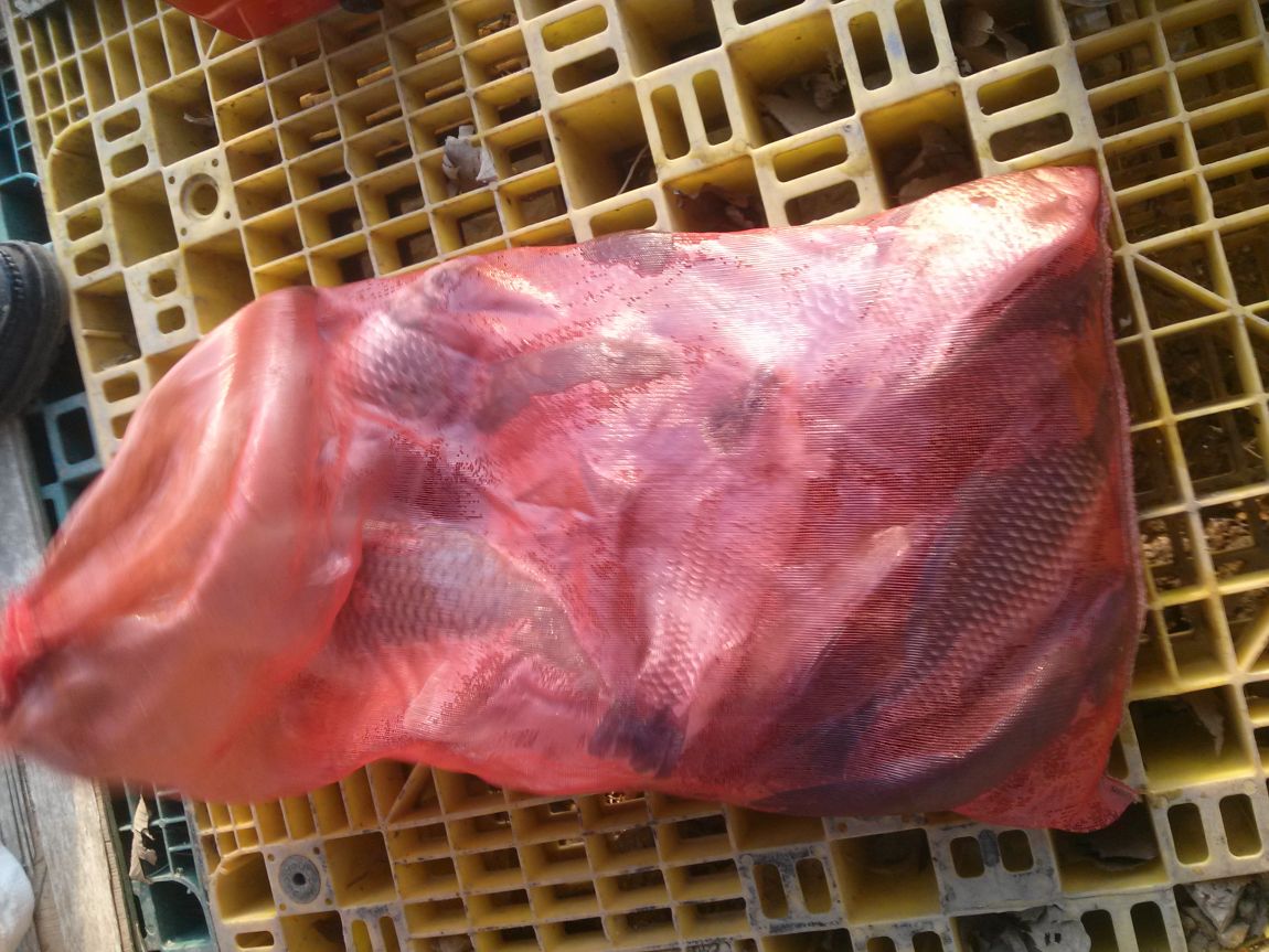 CAM04154.jpg
