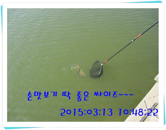 �ٹ̱�_IMG_0464.JPG