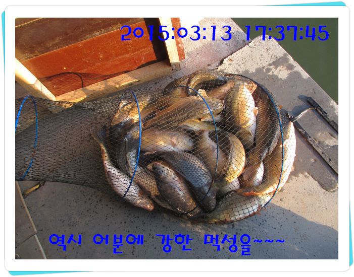 �ٹ̱�_IMG_0470.JPG