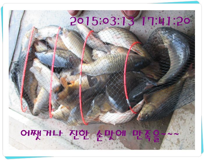 �ٹ̱�_IMG_0473.JPG