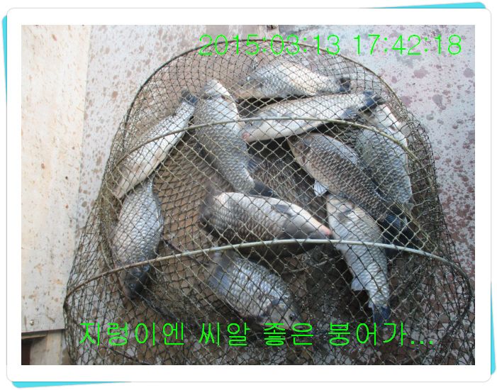 �ٹ̱�_IMG_0474.JPG