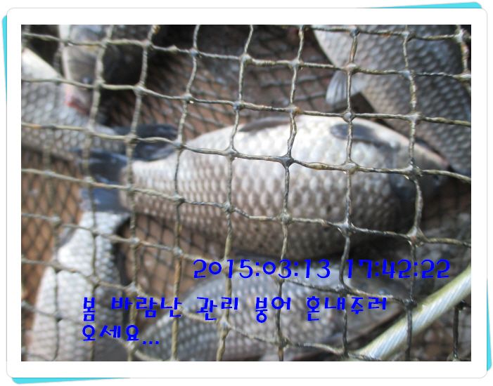 �ٹ̱�_IMG_0475.JPG