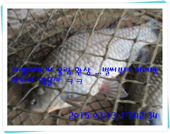 �ٹ̱�_IMG_0478.JPG