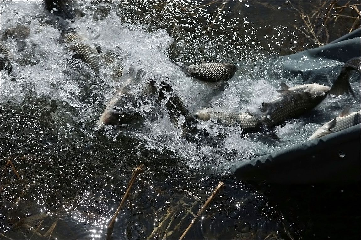 AQ8C3949.JPG