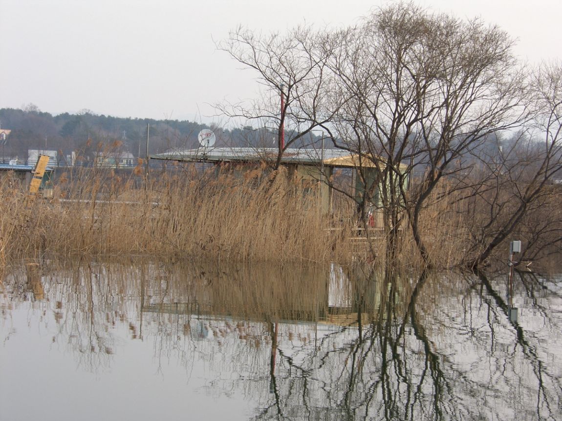 SH109848.JPG