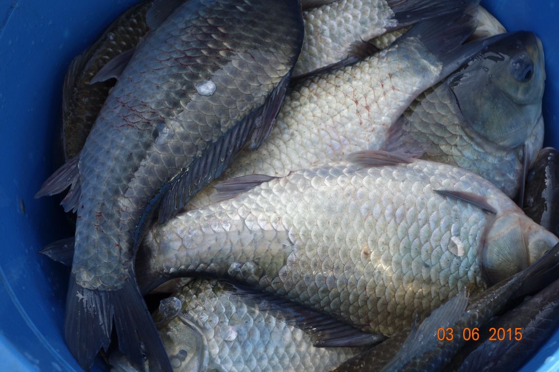 ٹ̱__DSC4038.JPG