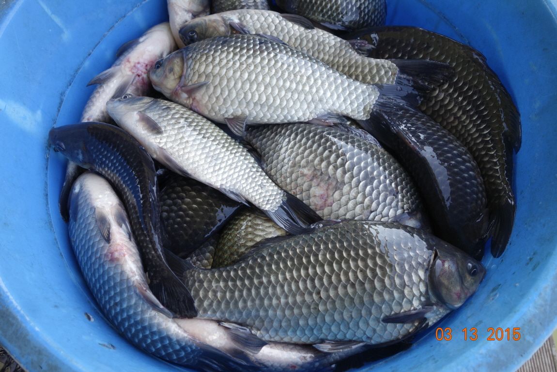 ٹ̱__DSC4105.JPG