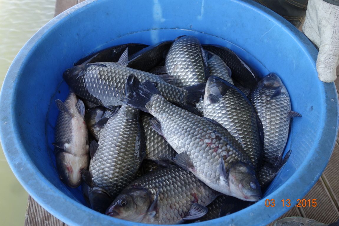 ٹ̱__DSC4108.JPG