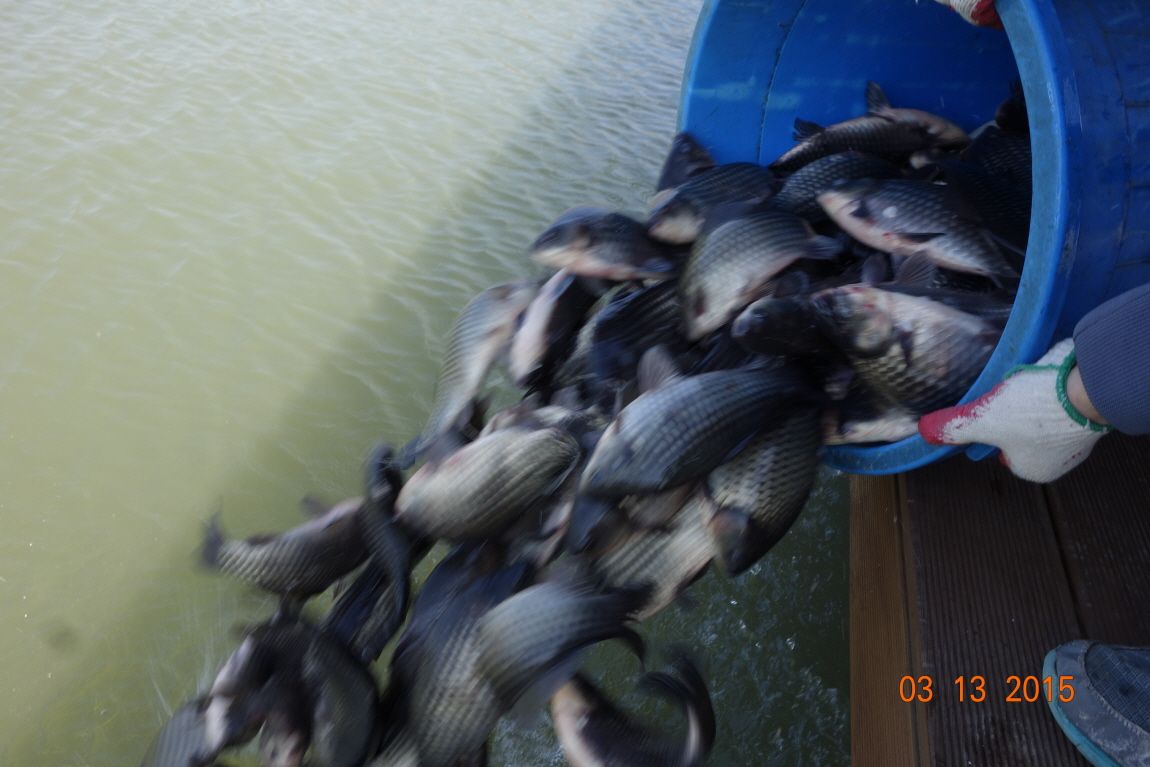 ٹ̱__DSC4109.JPG