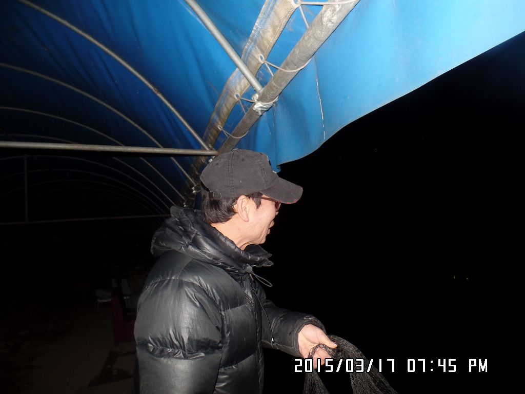 SAM_4683.JPG