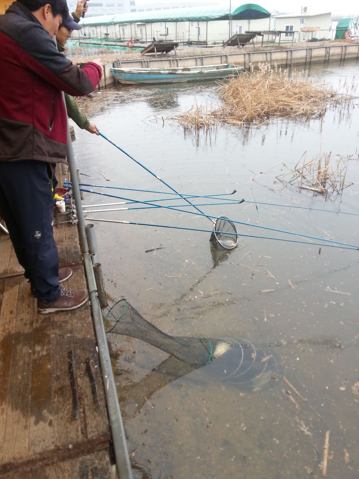 20150318_124801.jpg