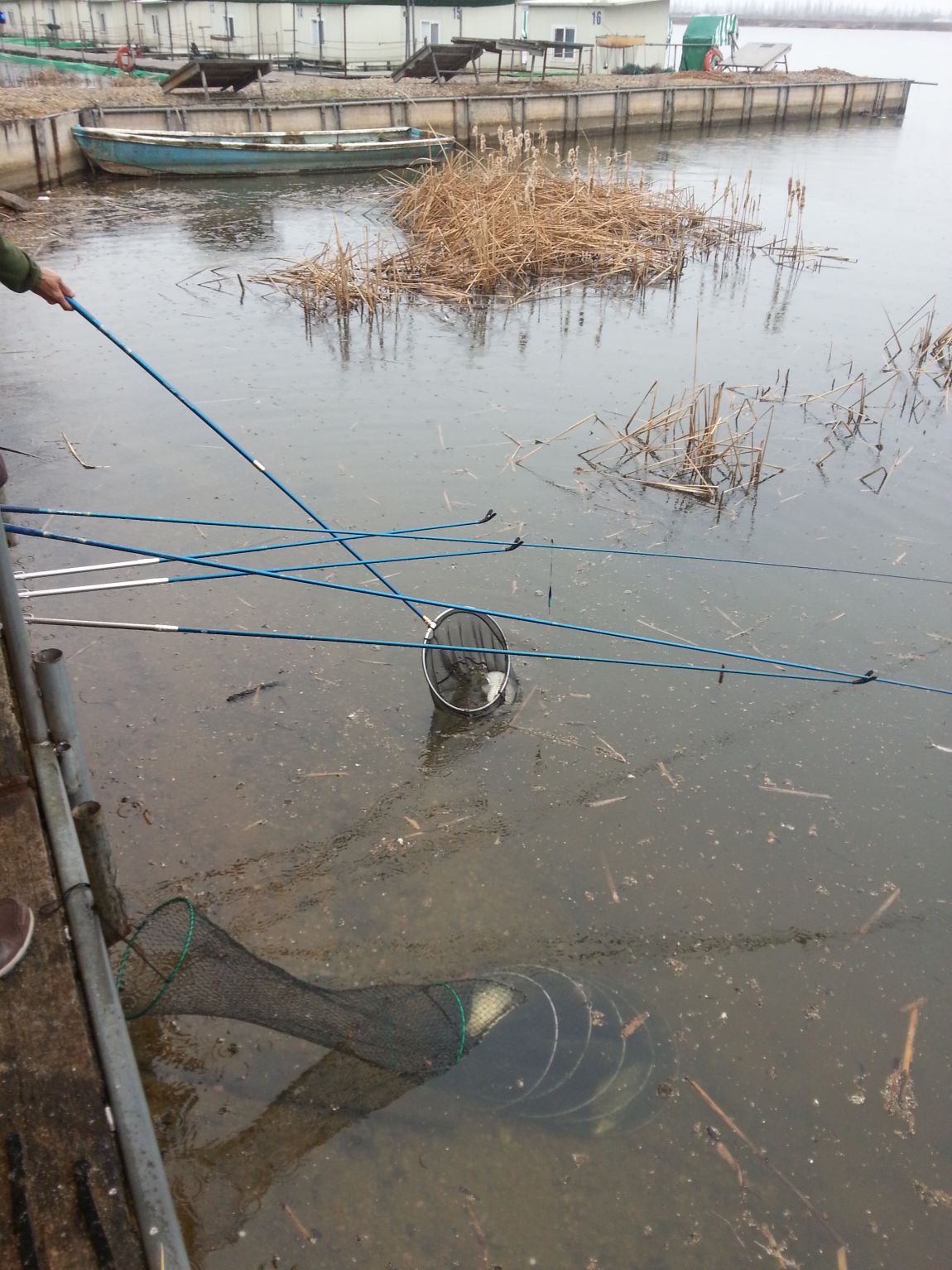 20150318_124803.jpg