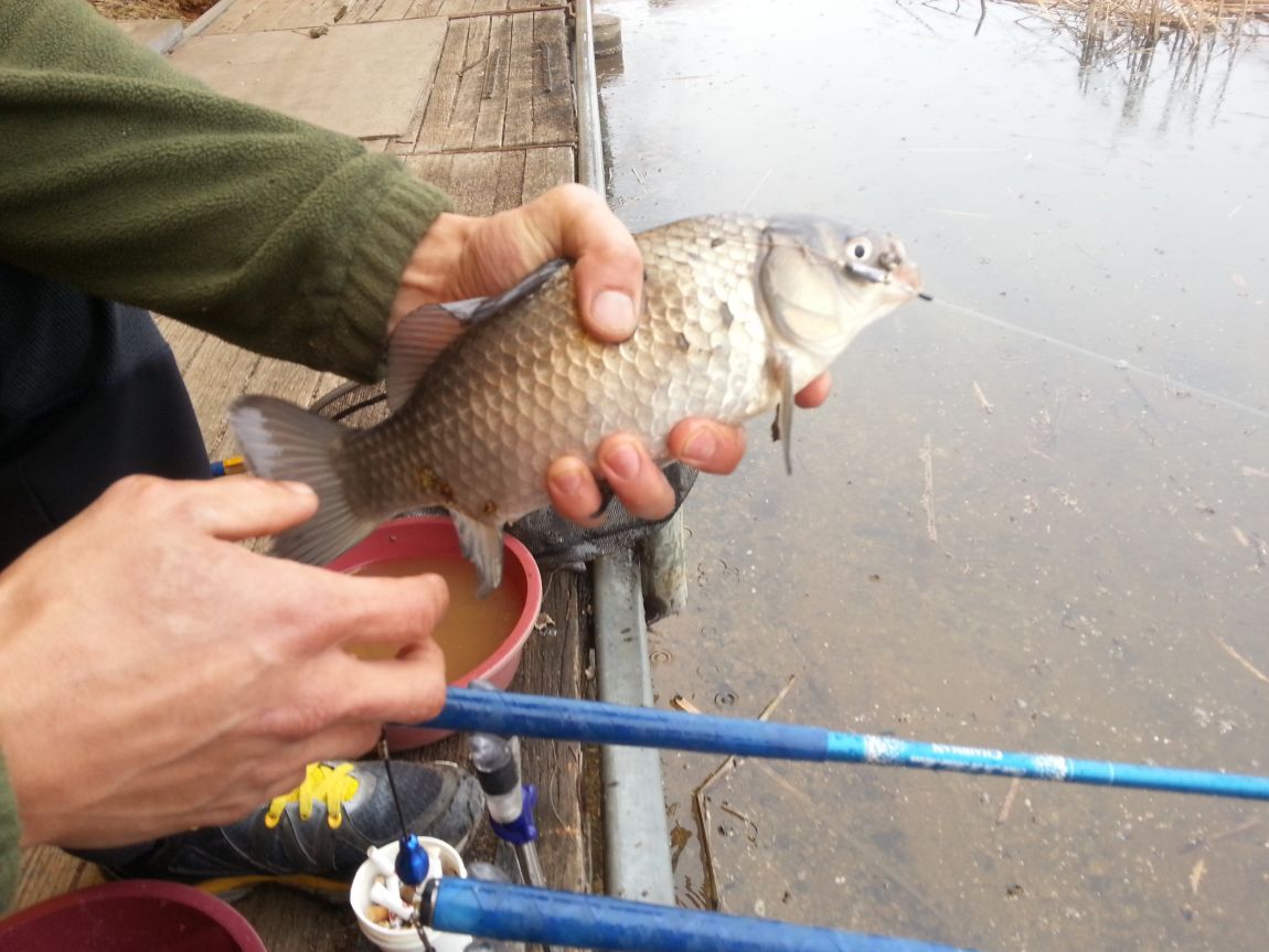 20150318_124841.jpg