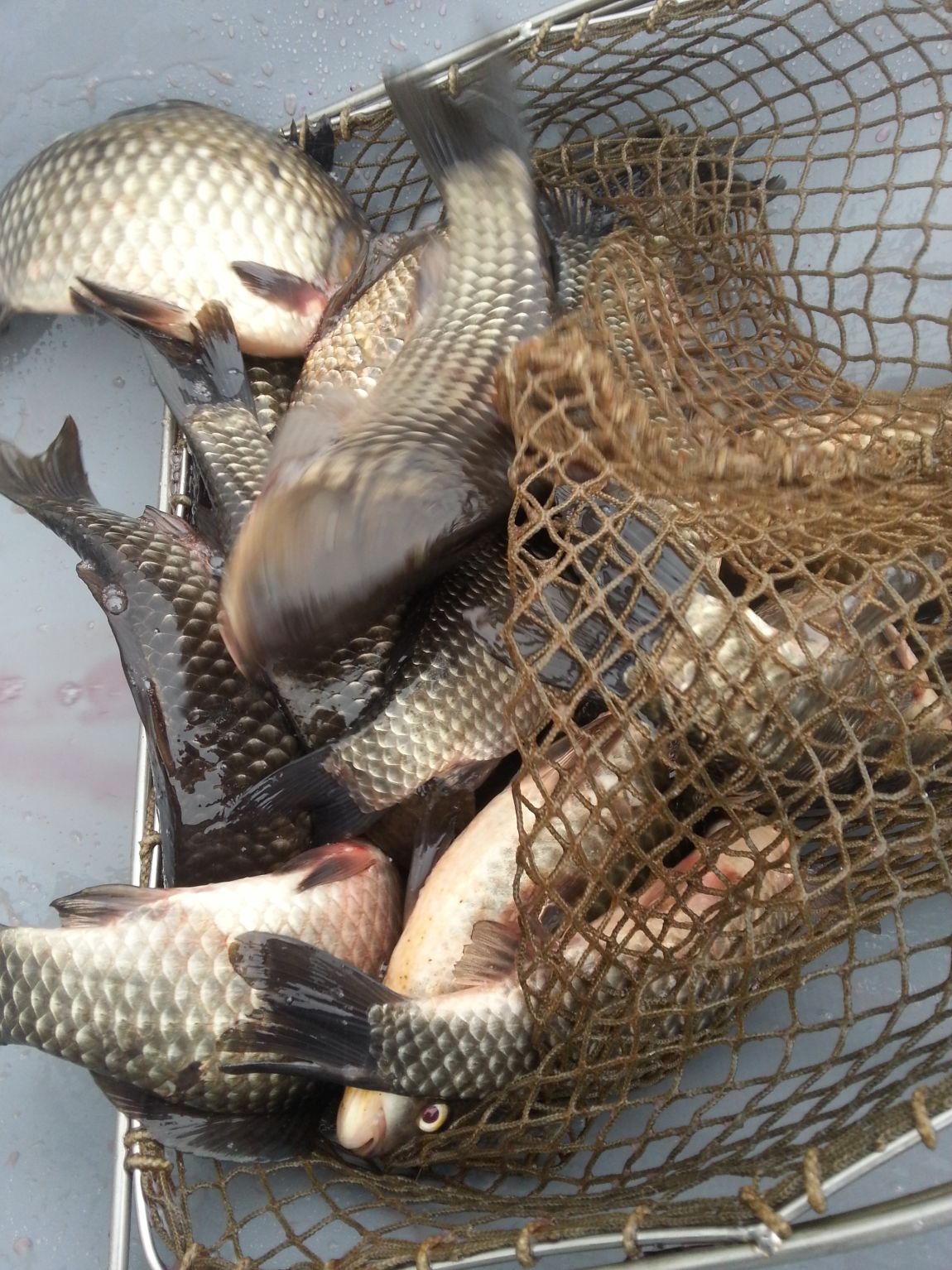 20150318_141523.jpg