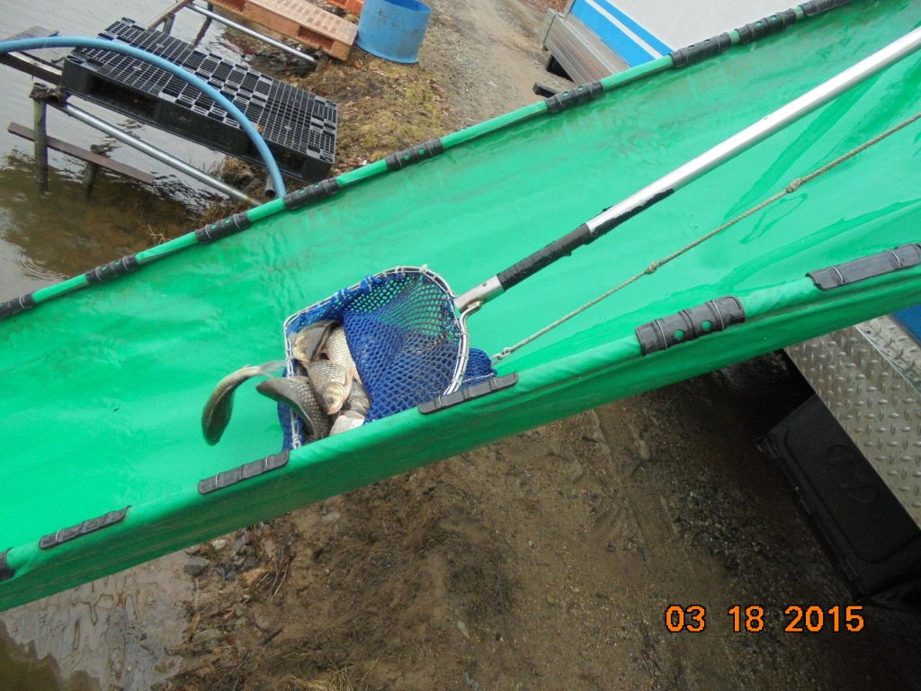 ũ⺯ȯ_DSC00965.JPG