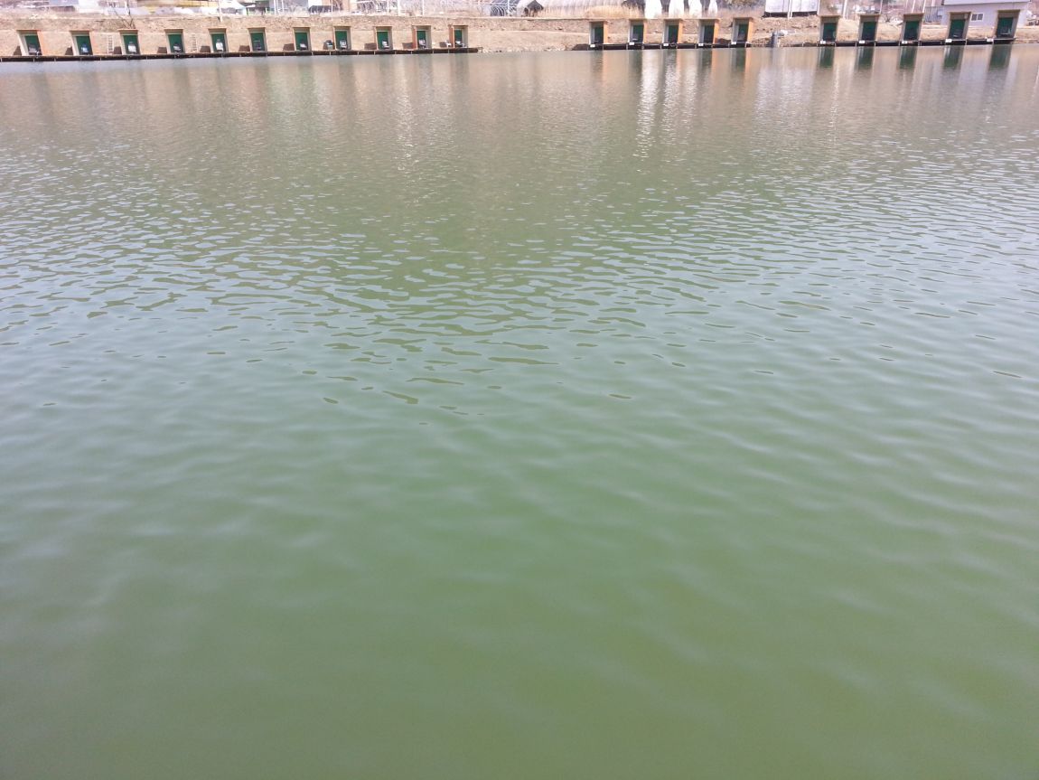 20150320_132052.jpg